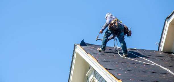 Roof Gutter Cleaning in Winterville, NC